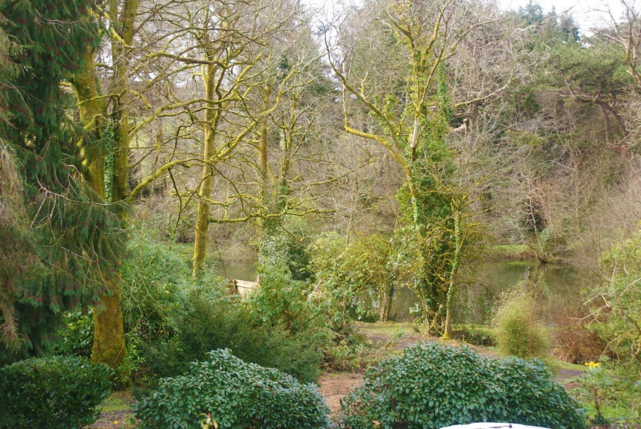 Hope Cottage Modbury Buitenkant foto